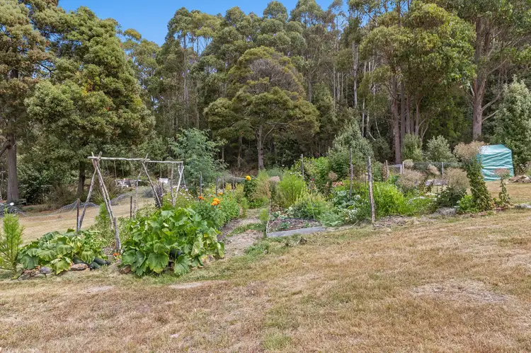 Sixth view of Homely land listing, 221A Ginns Road, Birralee TAS 7303