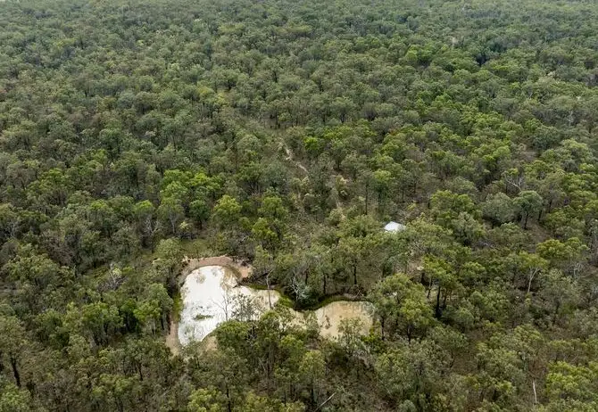 Sixth view of Homely rural property listing, 1376 Leyburn Cunningham Road, Pratten QLD 4370