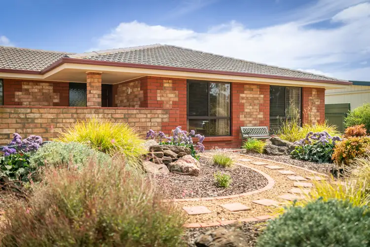 243 Adelaide Road