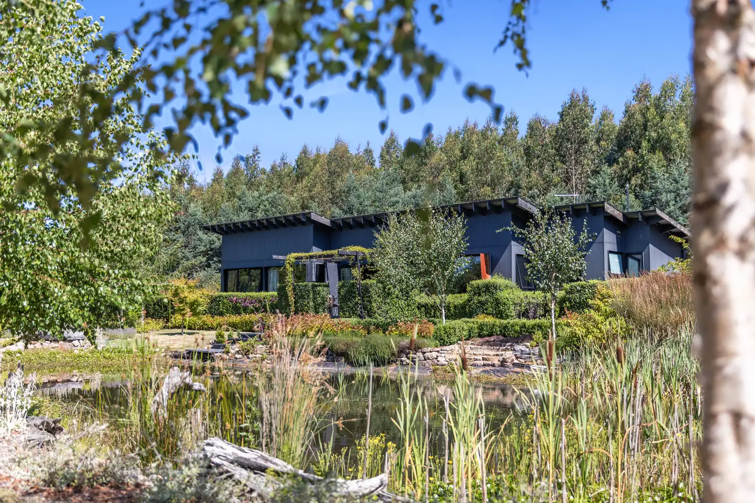 Main view of Homely house listing, 29 Riversdale Road, Liffey TAS 7301