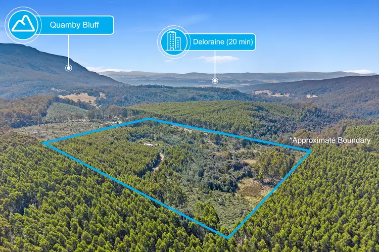 Second view of Homely house listing, 29 Riversdale Road, Liffey TAS 7301