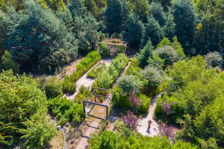 Fifth view of Homely house listing, 29 Riversdale Road, Liffey TAS 7301