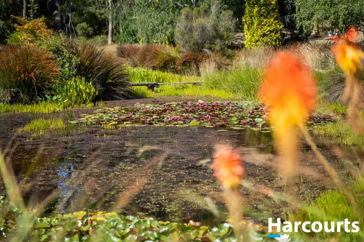 Fourth view of Homely rural property listing, 3816 West Tamar Highway, Beaconsfield TAS 7270
