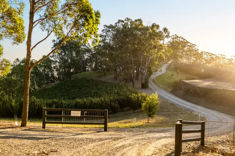 Second view of Homely rural property listing, 255 Harris Road, Lenswood SA 5240