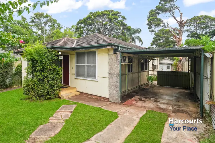 70 Oleander Road