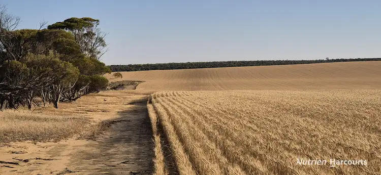 Second view of Homely rural property listing, . 'Narkalbudin' Gabbin via, Koorda WA 6475