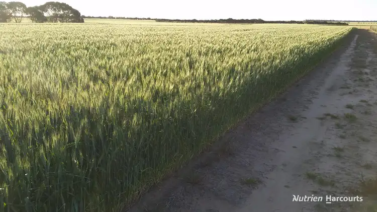 Third view of Homely rural property listing, . 'Narkalbudin' Gabbin via, Koorda WA 6475