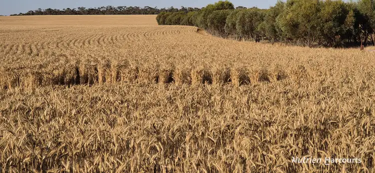 Sixth view of Homely rural property listing, . 'Narkalbudin' Gabbin via, Koorda WA 6475