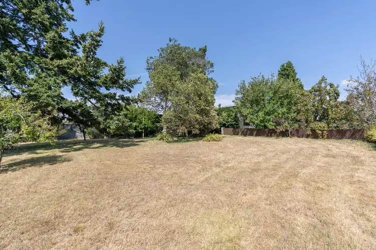 Seventh view of Homely house listing, 5 Albert Street, Branxholm TAS 7261
