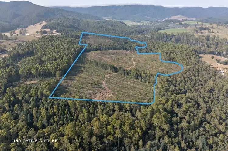 Lot 1 East Maurice Road, Talawa TAS 7263