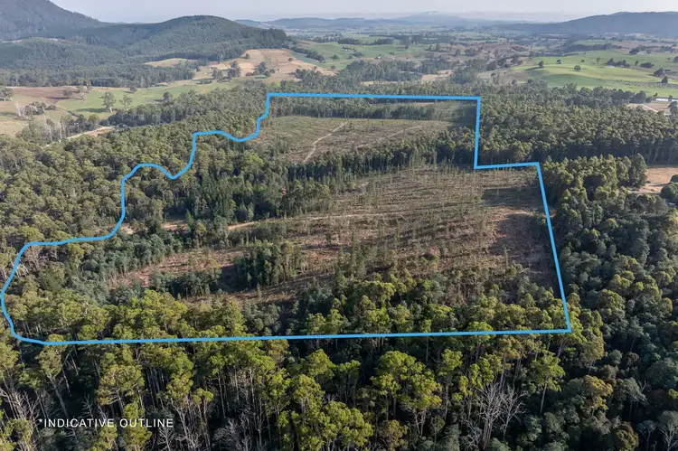 Second view of Homely rural property listing, Lot 1 East Maurice Road, Talawa TAS 7263