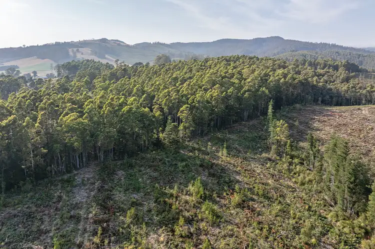 Third view of Homely rural property listing, Lot 1 East Maurice Road, Talawa TAS 7263