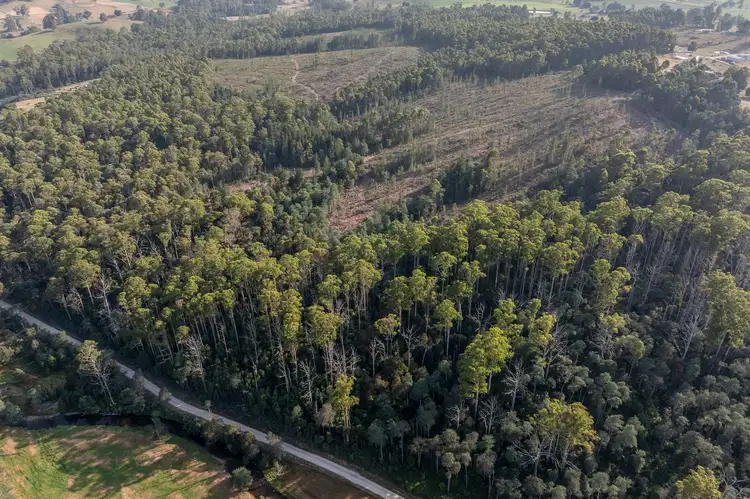 Sixth view of Homely rural property listing, Lot 1 East Maurice Road, Talawa TAS 7263
