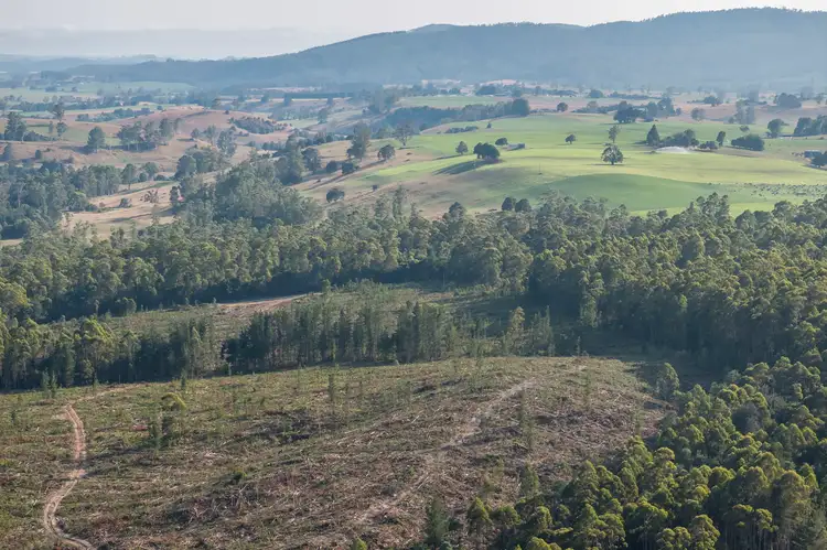 Seventh view of Homely rural property listing, Lot 1 East Maurice Road, Talawa TAS 7263
