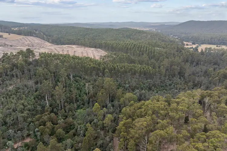 Third view of Homely rural property listing, 235 Butlers Road, Lebrina TAS 7254