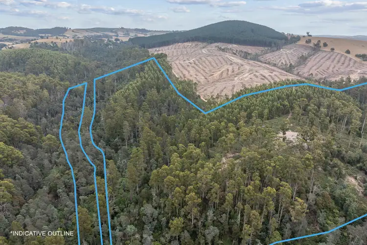 Sixth view of Homely rural property listing, 235 Butlers Road, Lebrina TAS 7254