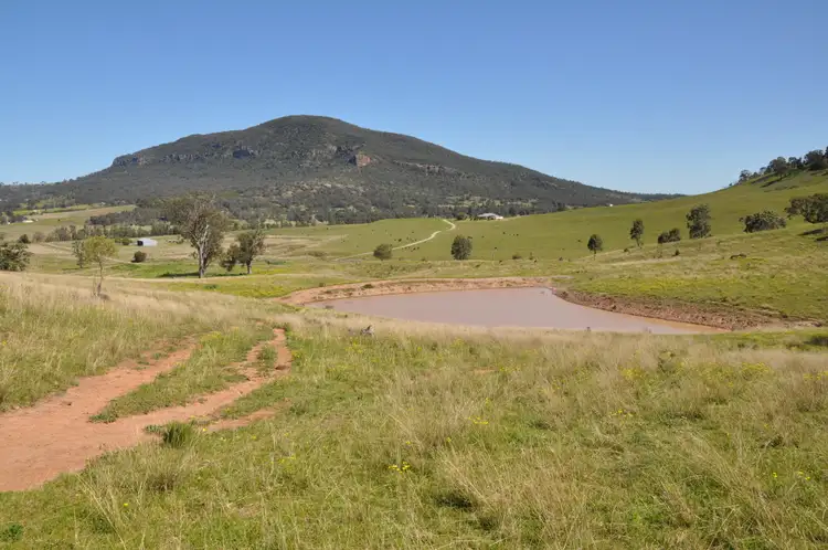 Fifth view of Homely rural property listing, 'Figtree' Rouchel Gap Rd, Mccullys Gap NSW 2333