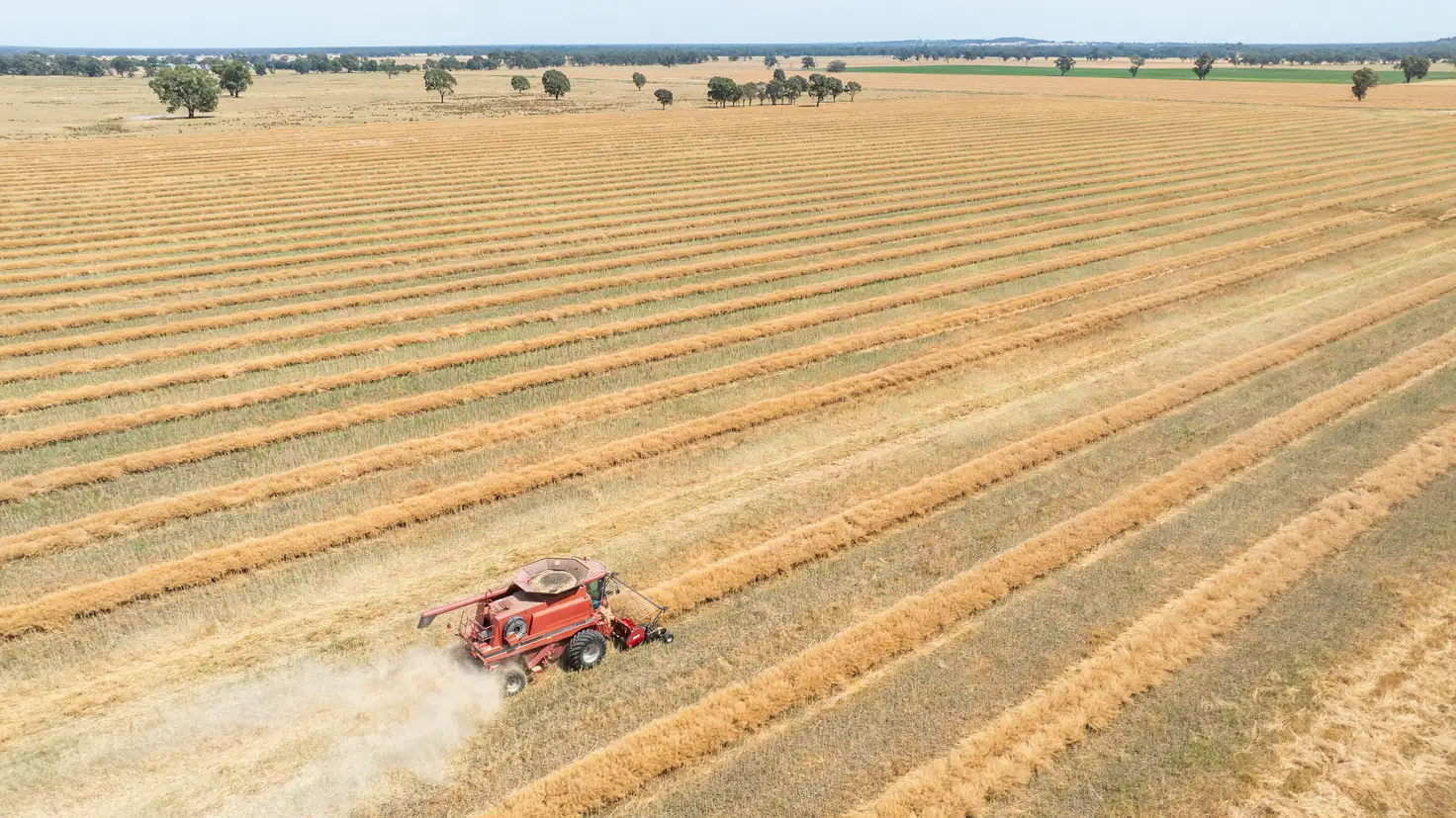 Main view of Homely rural property listing, 412 McPhersons Road, Lilliput VIC 3682