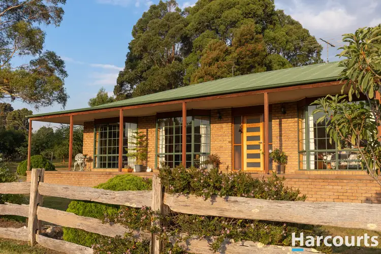 Main view of Homely house listing, 59 Winifred Avenue, Acacia Hills TAS 7306