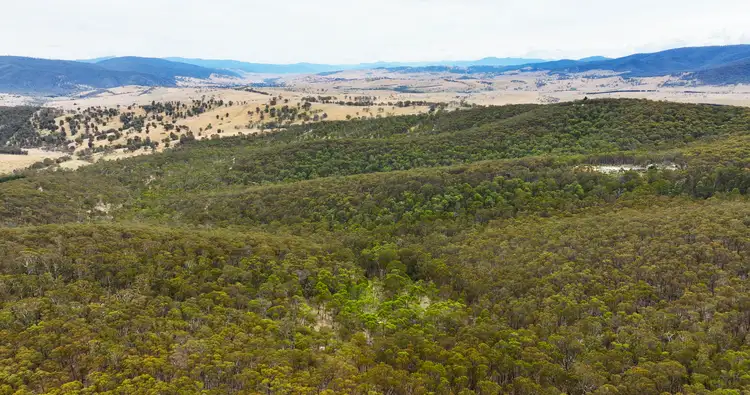 175 Kangaroo Track, Omeo VIC 3898