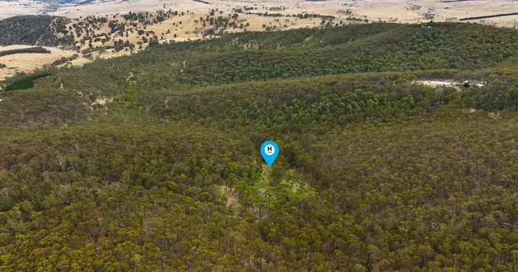 Second view of Homely rural property listing, 175 Kangaroo Track, Omeo VIC 3898