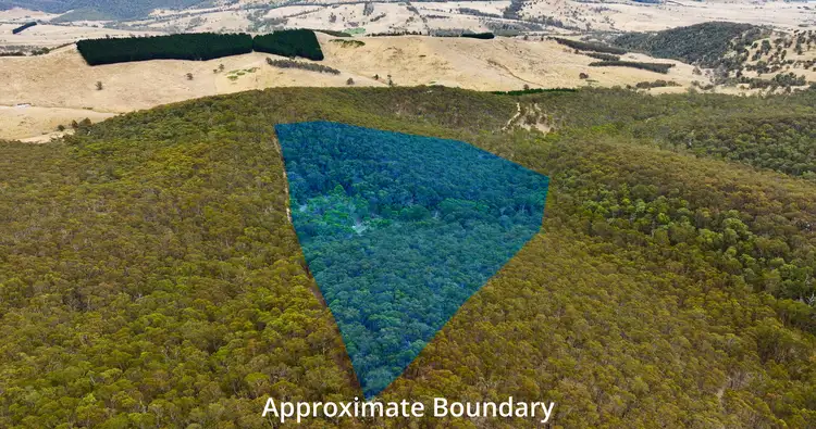 Third view of Homely rural property listing, 175 Kangaroo Track, Omeo VIC 3898