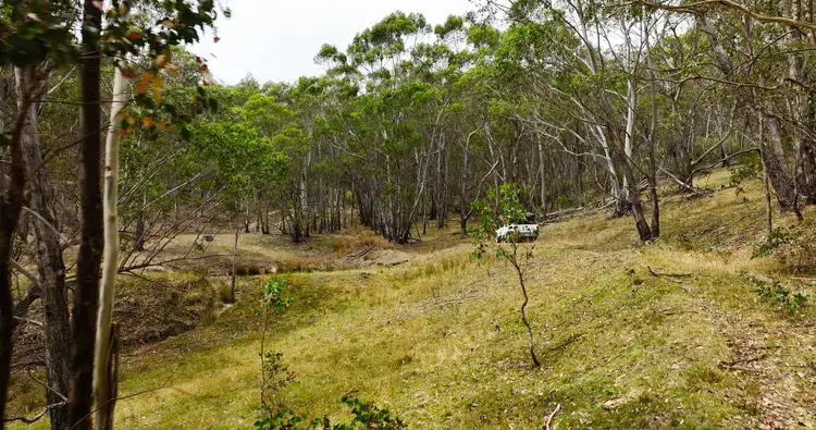 Fifth view of Homely rural property listing, 175 Kangaroo Track, Omeo VIC 3898