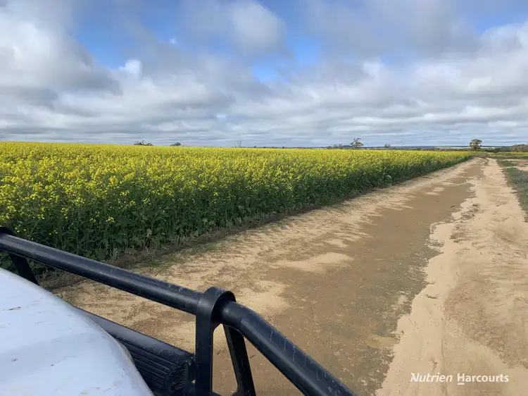 Main view of Homely rural property listing, 16111 Goldfields Road, Merredin WA 6415