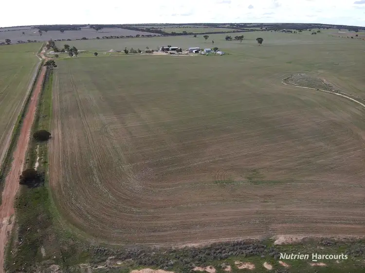 Sixth view of Homely rural property listing, 16111 Goldfields Road, Merredin WA 6415