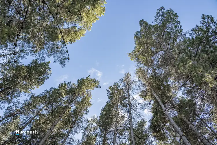 Sixth view of Homely land listing, 38 Autumn Road, Cradoc TAS 7109