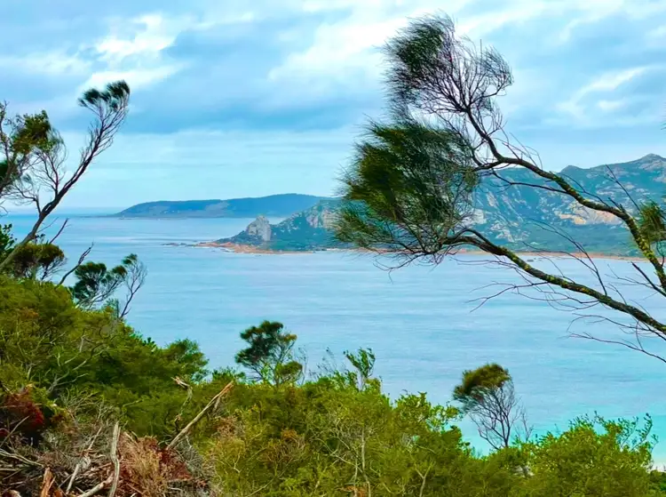 Second view of Homely land listing, . Killiecrankie Road, Killiecrankie TAS 7255