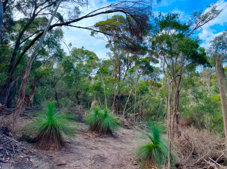 Fourth view of Homely land listing, . Killiecrankie Road, Killiecrankie TAS 7255