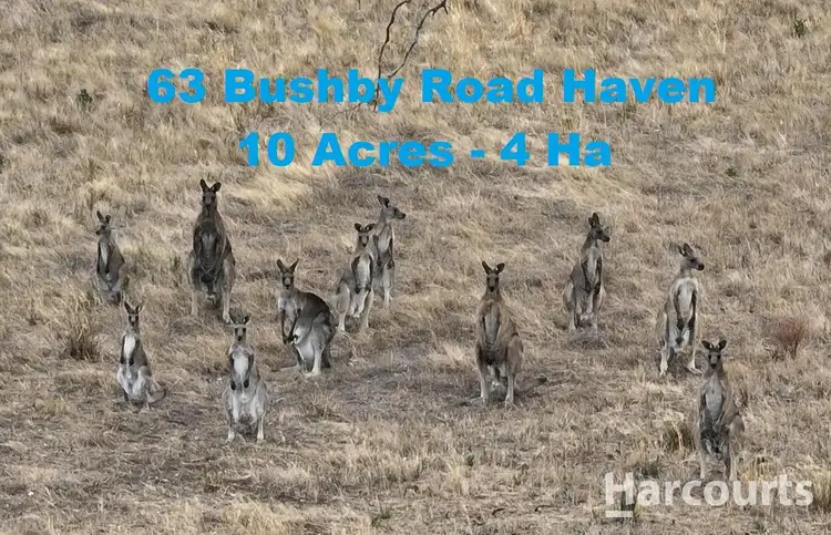 63 Bushby Road, Haven VIC 3401