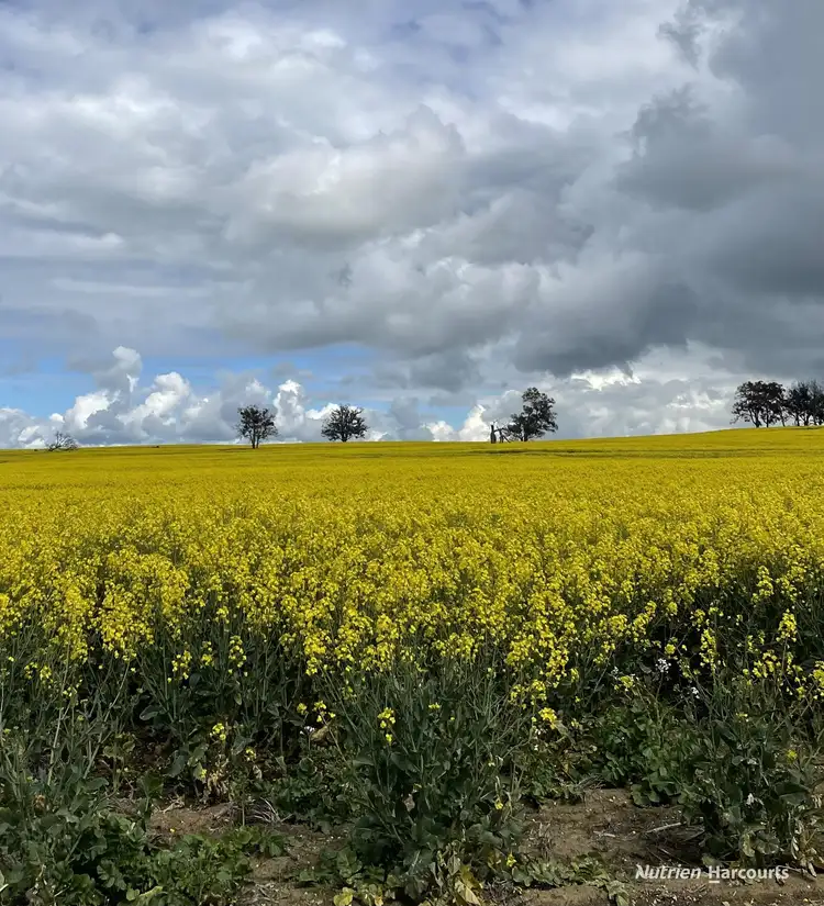 Second view of Homely rural property listing, 175 Racecourse Road, Frankland River WA 6396