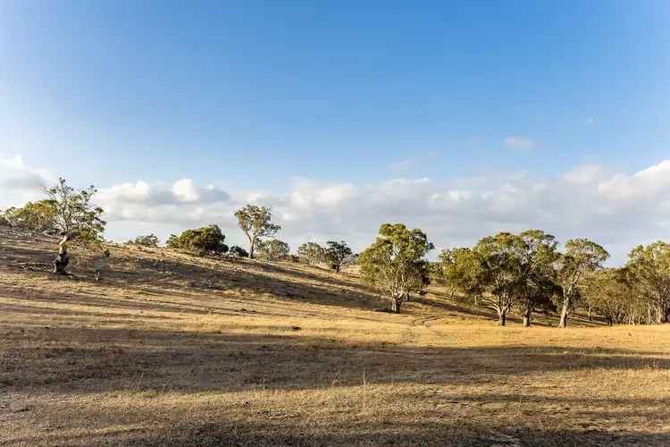 Third view of Homely rural property listing, 55A Stirling Hill Road, Gemmells SA 5255