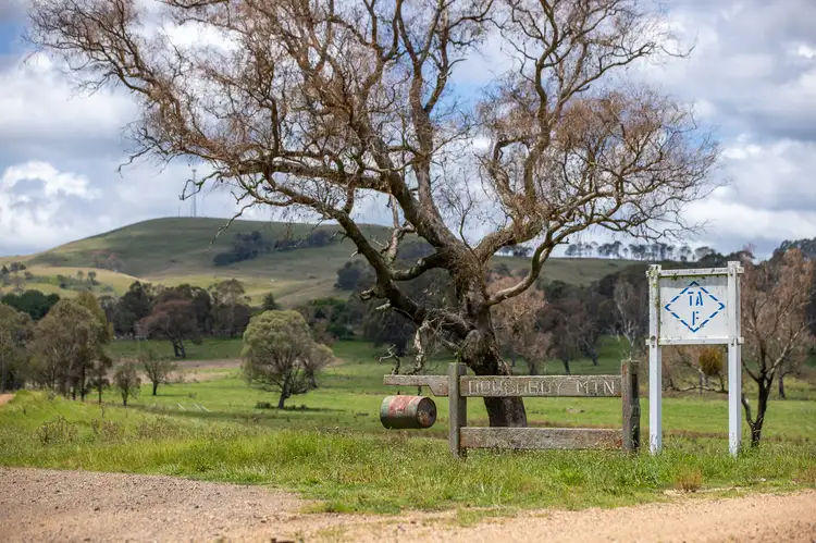 Second view of Homely rural property listing, 1763 Wongwibinda Road, Wongwibinda NSW 2350