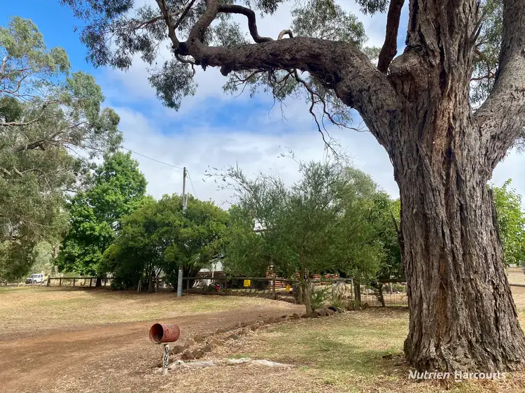 172 Bahgallah Road, Casterton VIC 3311