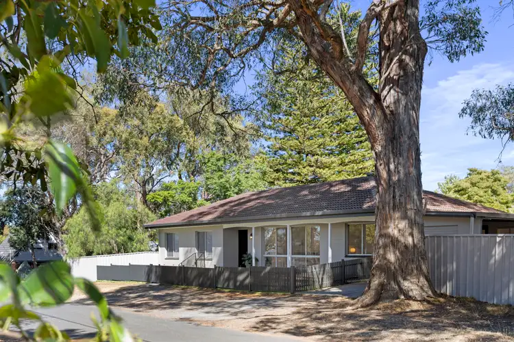 67 Orontes Avenue