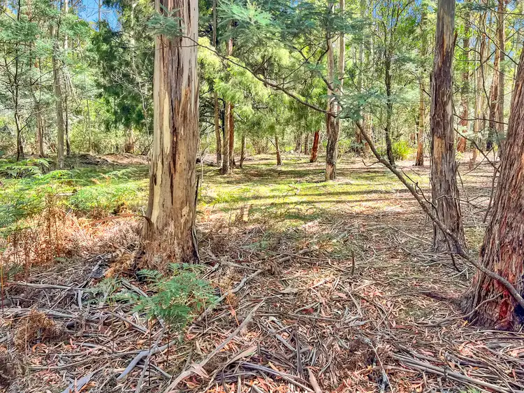 Fourth view of Homely land listing, 591 Upper Scamander Road, Upper Scamander TAS 7215