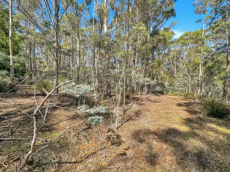 Fifth view of Homely land listing, 591 Upper Scamander Road, Upper Scamander TAS 7215