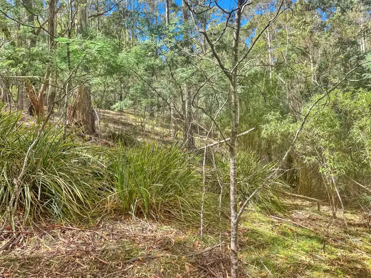 Sixth view of Homely land listing, 591 Upper Scamander Road, Upper Scamander TAS 7215