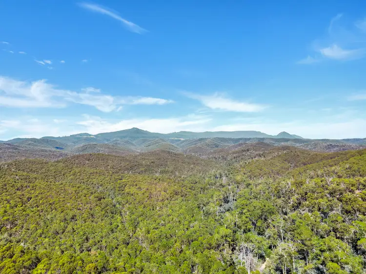 Seventh view of Homely land listing, 591 Upper Scamander Road, Upper Scamander TAS 7215