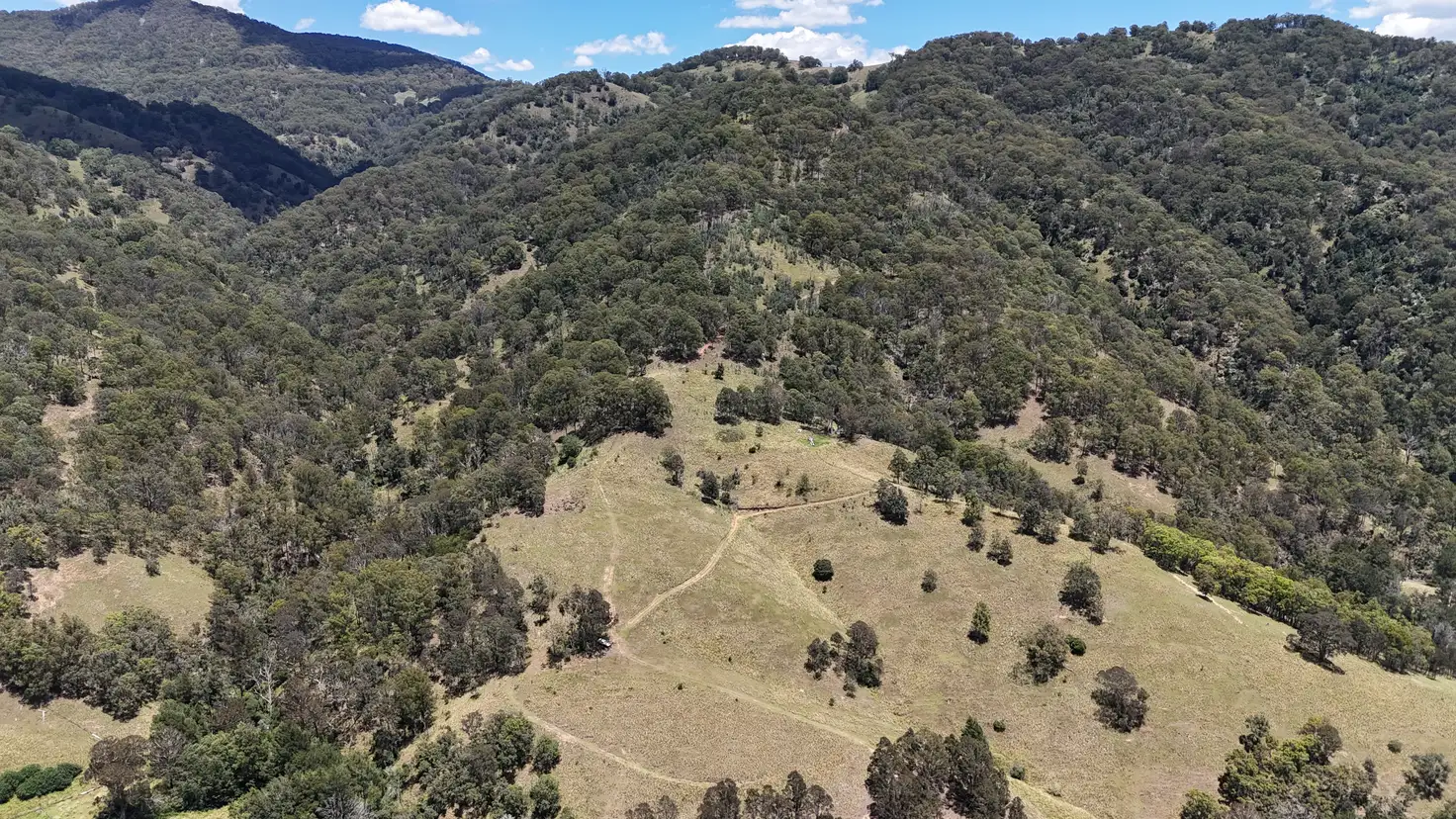 Main view of Homely rural property listing, 168 Carters Rd, Stewarts Brook NSW 2337