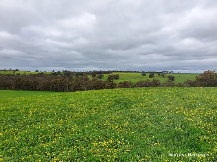 950 Bokerup Road, Frankland River WA 6396