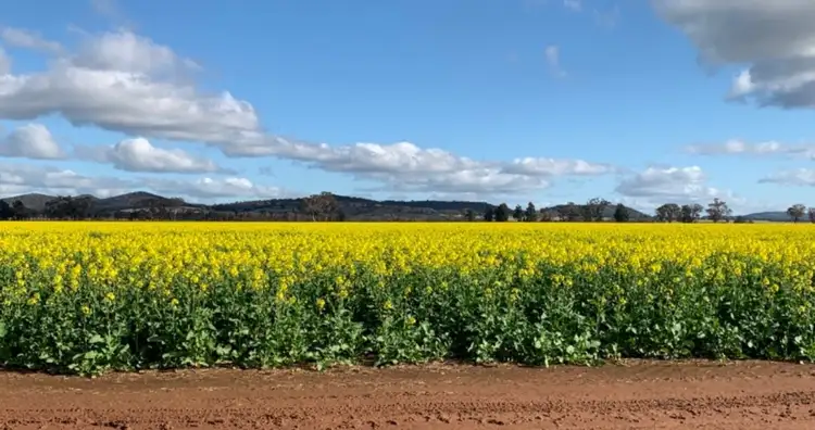 Second view of Homely rural property listing, 2170 Adelargo Road, Grenfell NSW 2810