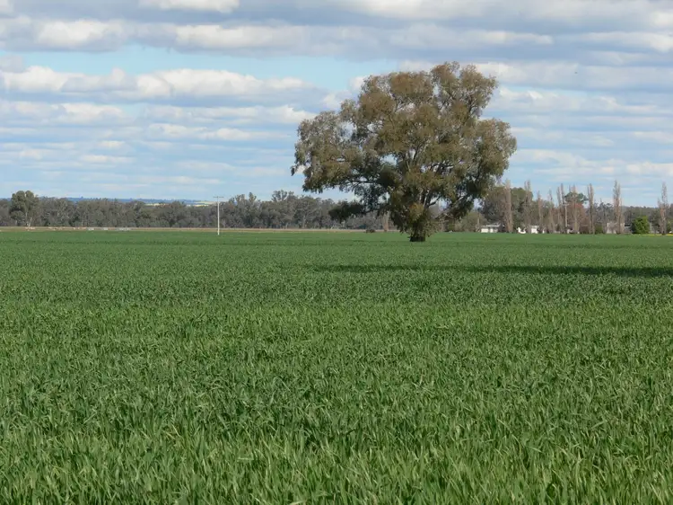 Seventh view of Homely rural property listing, 2170 Adelargo Road, Grenfell NSW 2810