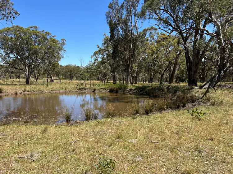 12249 Guyra Road, Wandsworth NSW 2365