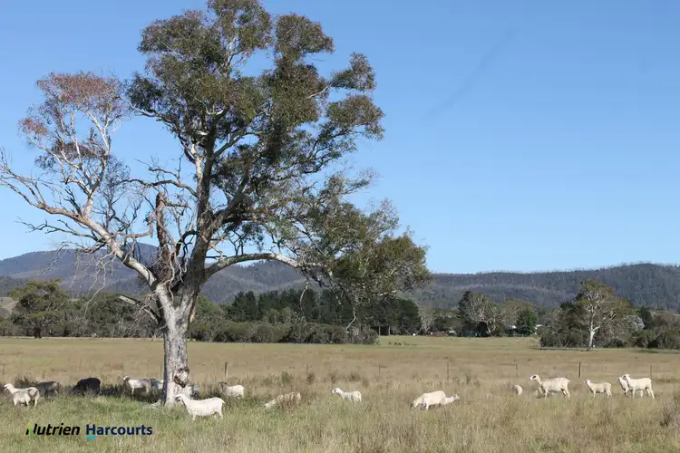 1253 Bombay Road, Braidwood NSW 2622