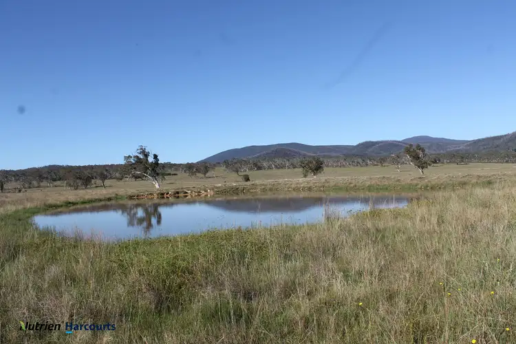 Main view of Homely rural property listing, 1253 Bombay Road, Braidwood NSW 2622