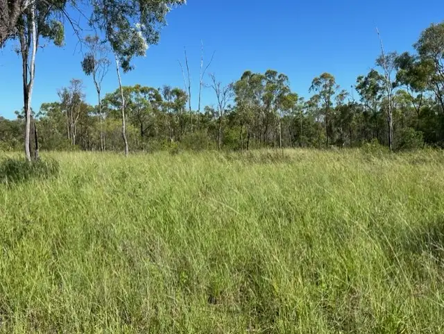 Third view of Homely rural property listing, 212 Thomasson Road, Seventy Mile QLD 4820